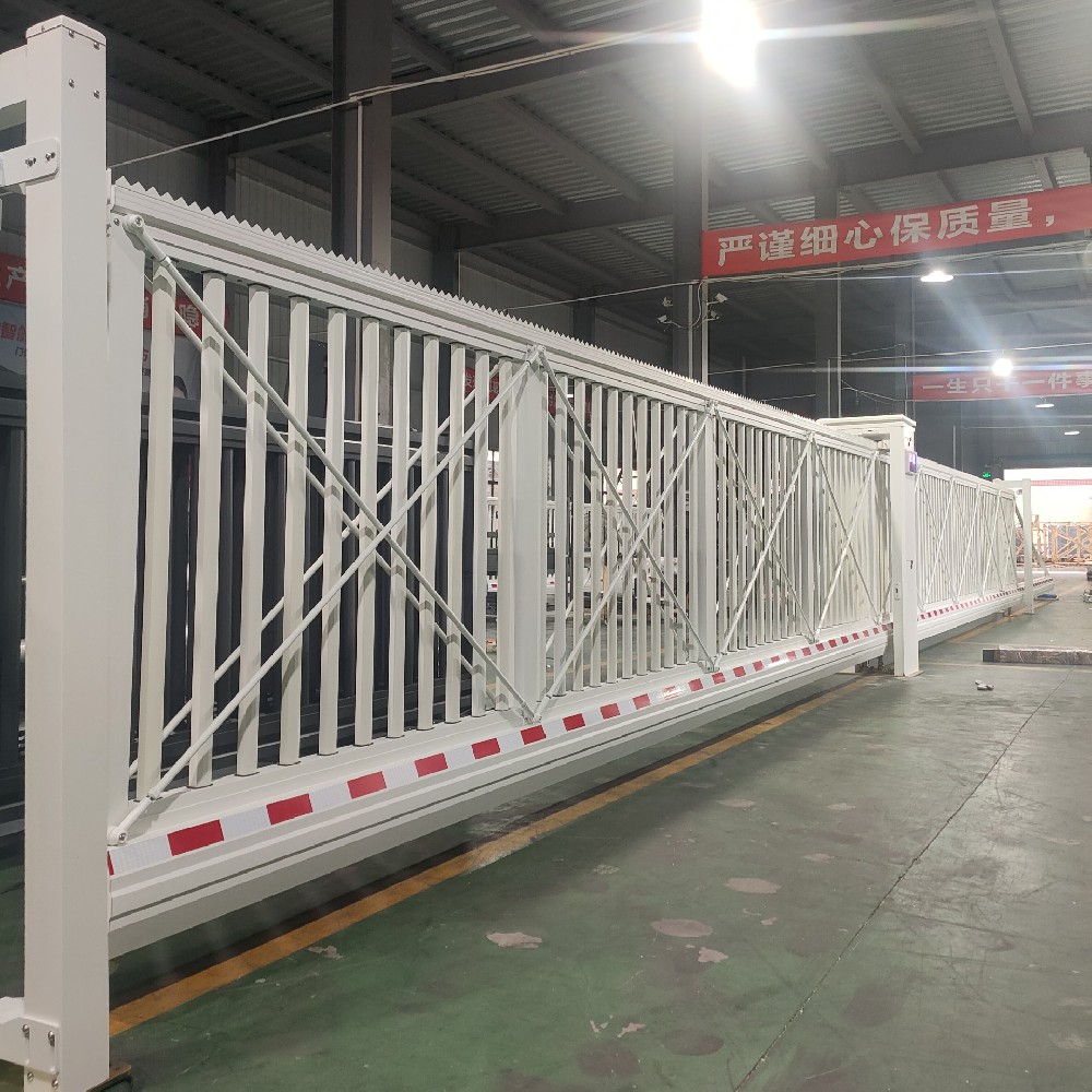 電動懸浮門dy18-048